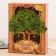 The genealogy book in the box "Tree of Life", 56 sheets, 20 x 26 cm