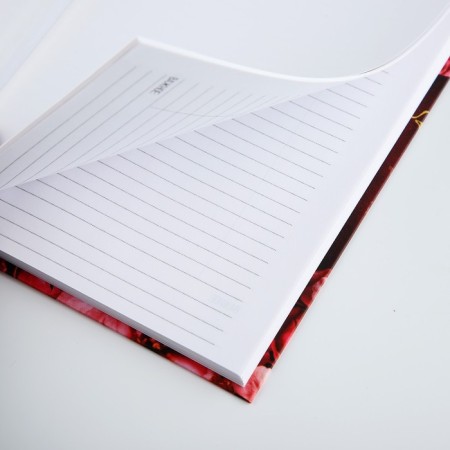 Diary A5, 80 liters, solid cover of the "teacher"-3