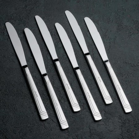 Knife table "Appetite", length = 22 cm, thickness = 2 mm, silver color-1