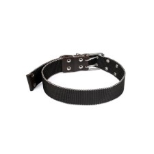 Collar of kapron 