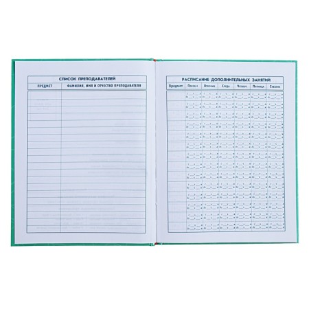 Diary for grades 1-4, 48 sheets "cat pranks", hard cover, glossy lamination, foil embossing-5