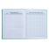 Diary for grades 1-4, 48 sheets "cat pranks", hard cover, glossy lamination, foil embossing