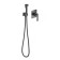Timo Torne 4389/03sm bideter, built -in, with hygienic shower, black