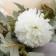 Artificial flowers "Chinese Balun" 77 cm, white
