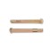 Tundra anchor bolt, with a nut, galvanized, 10x100 mm, 75 pcs