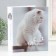 Photo album "White Cat" 200f 10x15cm,