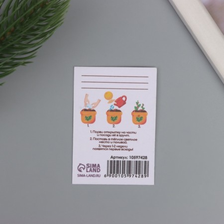 Postcard with seeds "grow itself" "lavender" 5*7cm-2