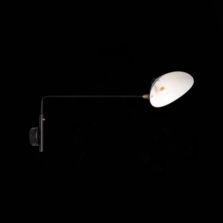 Sconces st. SL305.401.01. SPRUZZO. 1x60 watts, e27, 18x40 cm, black color-12