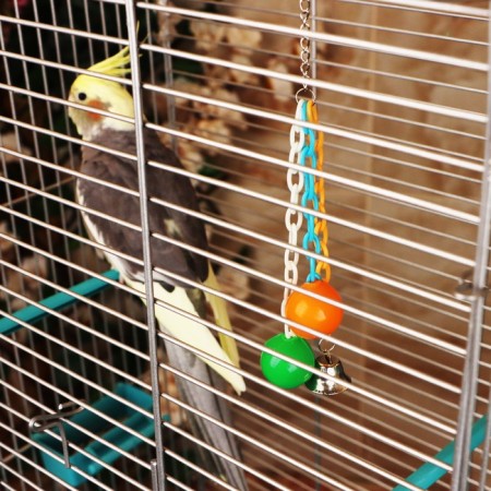 Toy for birds "rattle", mix-5