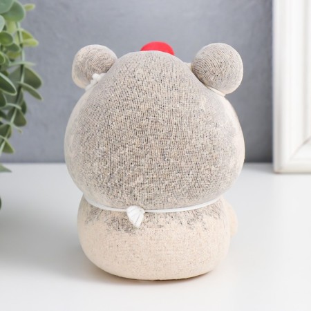 Growing gift Eco -Zhizhivchik "raccoon" mix-2