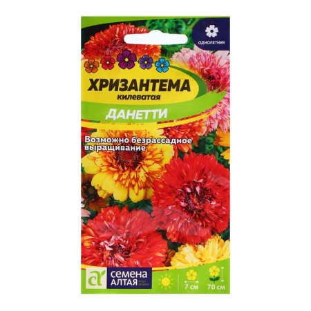 Chrysanthemum seeds "Dunetti", 0.3 gr.