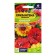 Chrysanthemum seeds "Dunetti", 0.3 gr.