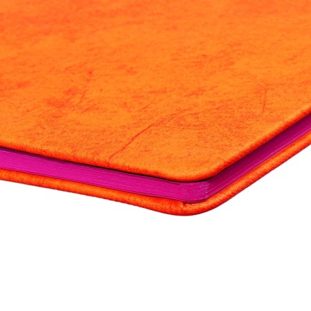 Universal Diary Grade 1-11, 48 sheets "Orange", solid cover of artificial leather, foil embossing-6
