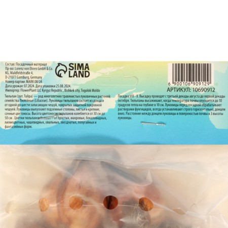 Tulip Pipple Flag, river 12/+, 5pcs, autumn 2024-2