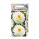 Seeds Astra Princess Korin 0.3g*