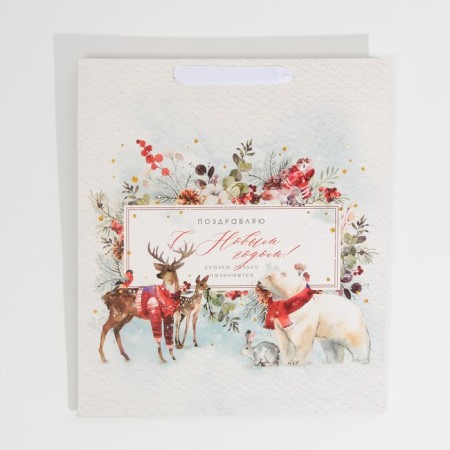 Laminated vertical package “Congratulations to you”, m 30 x 26 x 9 cm, New Year-6