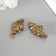 Souvenir brass "Cash toad with coin" set 2 pcs 1.9x3.4 cm