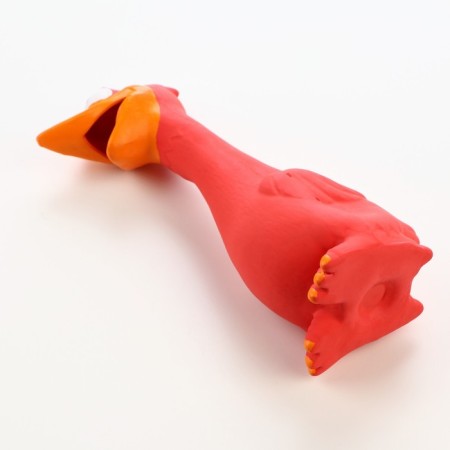 Loy toy for dogs from latex "I am duck, I smile!", 19 cm, red/yellow-4