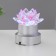 Illumination d/glass plastic 6*8cm 7 lamps (box 120 pcs) Risalux