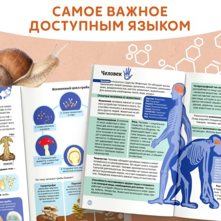 The book "Biology for Children", 68 p.-2