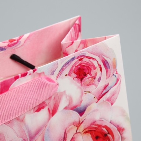 Gift laminated horizontal package, packaging, “happiness is waiting for you” 22 x 17.5 x 8 cm-5