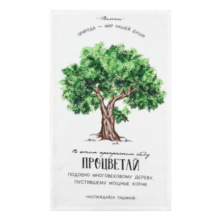 A set of kitchen towels of the share "Private", 35x60cm-2pcs, 100% cotton-4