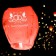 Wish flashlight "Happy Wedding Day!"