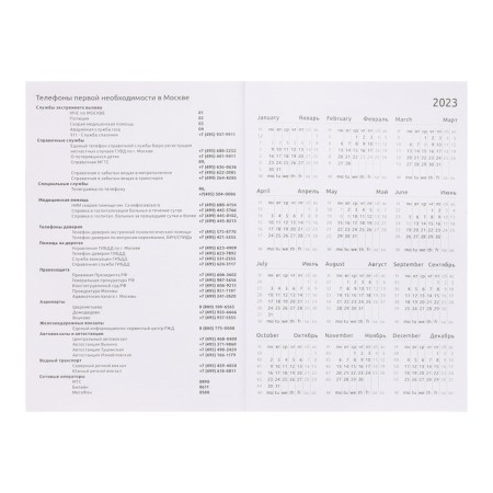 Dated diary 2024, A5, 176 sheets, attomex.Rigent, cover of boumvinyl, liesse, block 70 g/m2, black-4
