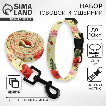 Set "Flowers", fastener - fastx, leash 2 m and collar 28-46 cm