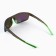 Polarization traces of Sequoia in a case, Grey with Green Revo lenses