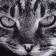Tmachry Ethel CB "Kitik" 50x90 cm