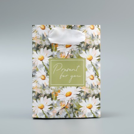 Gift laminated package, packaging, Pressent, 9 x 12 x 6.5 cm-1