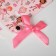 Bulak-convert “for my daughter”, 3 cm, pink color in silver
