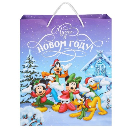 New Year. Gift package, 23x27x11.5 cm, packaging, Mickey Mouse-3