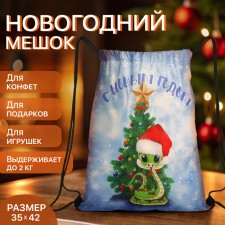 New Year 2025. New Year's bag for gifts on the cord 
