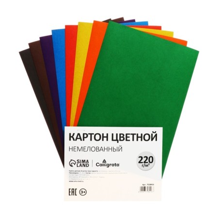 Cardboard of color A4, 8 sheets, 8 colors, calligrata, non -220 g/m2, on the bracket-6