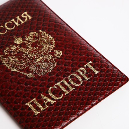 Cover for passport, red color-4