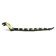 Royal Cobra Radio -controlled snake works on the battery