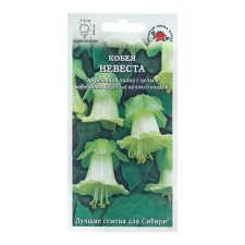 Cobey flowers 