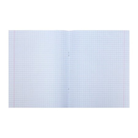 A notebook of 96 sheets in the Calligrata Notebook cage, cover coated cardboard, offset block, mix-2
