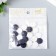 Beads for creativity wood "flat circle" set of 20 pcs white, dark blue 0.4x1.5x1.5 cm