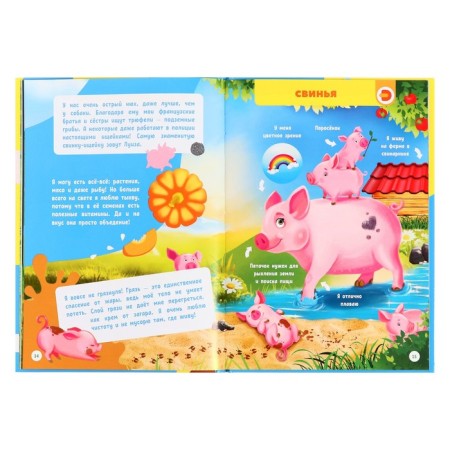 My first encyclopedia "Pets", hard binding, 48 p.-4