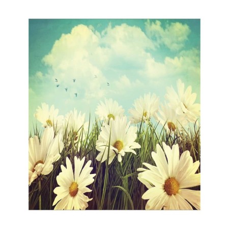 A set of napkins for setting the table "Chamomile under the sky", rectangular, size 32x46 cm, 4 pcs-2
