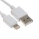 Network charger byz U26 EU, 2 USB, 2.4 A, Lightning 1 m cable, white