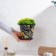 Pot for the flowers of the shade "Goldi", 800 ml, black color