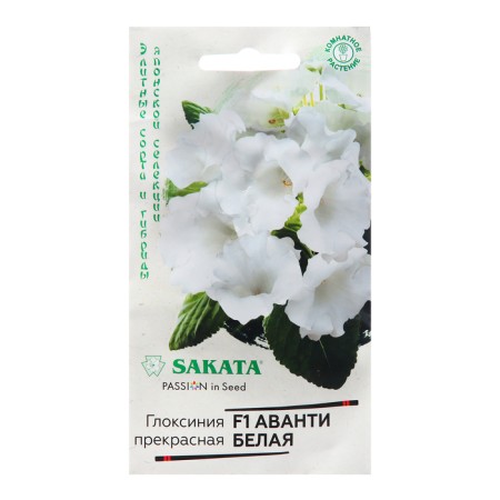 Gloxinia seeds "Avanti White", F1 4 pcs.