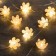 Thread Rosa, "Flowers", IP20, 2 m, N.S. LED (1608) -20-4.6V, AG13X3 (in the set), 3 dir, glow warm white