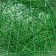 Floristic green frame 15 cm