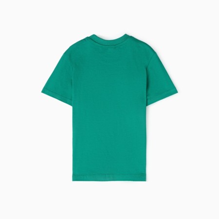 T -shirt for children, green color, height 140-3
