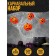 Carnival set "pumpkins", web, decor